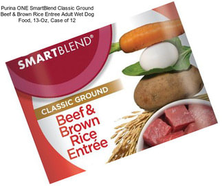 Purina ONE SmartBlend Classic Ground Beef & Brown Rice Entree Adult Wet Dog Food, 13-Oz, Case of 12