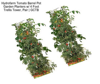 Hydrofarm Tomato Barrel Pot Garden Planters w/ 4 Foot Trellis Tower, Pair | GCTB