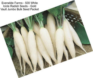 Everwilde Farms - 500 White Icicle Radish Seeds - Gold Vault Jumbo Bulk Seed Packet