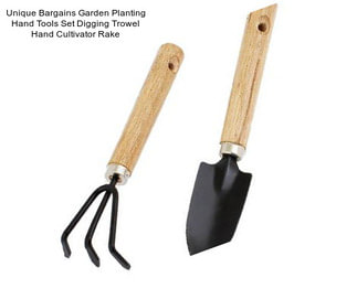 Unique Bargains Garden Planting Hand Tools Set Digging Trowel Hand Cultivator Rake