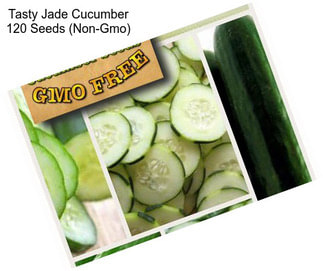 Tasty Jade Cucumber 120 Seeds (Non-Gmo)