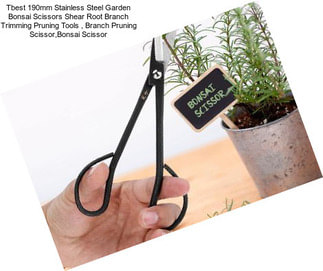 Tbest 190mm Stainless Steel Garden Bonsai Scissors Shear Root Branch Trimming Pruning Tools , Branch Pruning Scissor,Bonsai Scissor