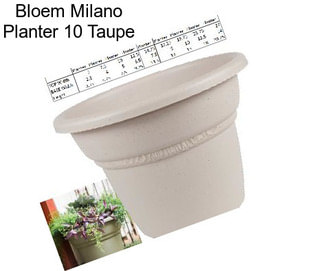 Bloem Milano Planter 10\