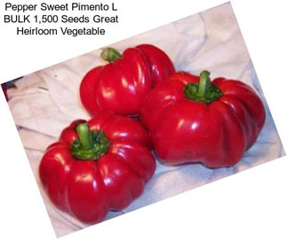 Pepper Sweet Pimento L BULK 1,500 Seeds Great Heirloom Vegetable