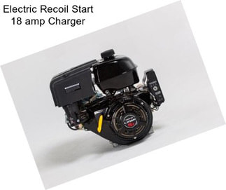 Electric Recoil Start 18 amp Charger