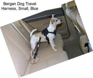 Bergan Dog Travel Harness, Small, Blue