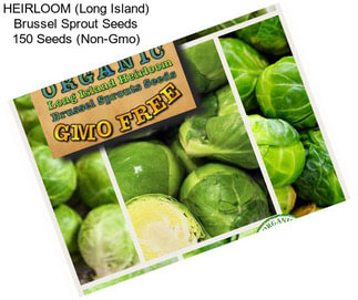 HEIRLOOM (Long Island) Brussel Sprout Seeds 150 Seeds (Non-Gmo)