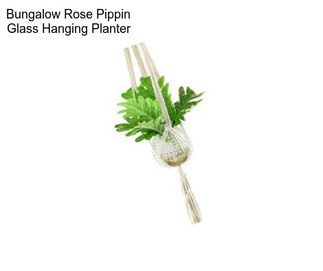 Bungalow Rose Pippin Glass Hanging Planter