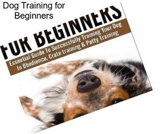 Dog Training for Beginners