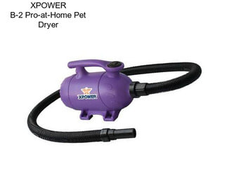XPOWER B-2 Pro-at-Home Pet Dryer