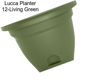 Lucca Planter 12\