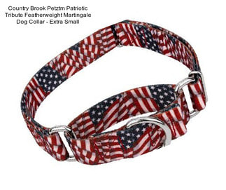 Country Brook Petztm Patriotic Tribute Featherweight Martingale Dog Collar - Extra Small