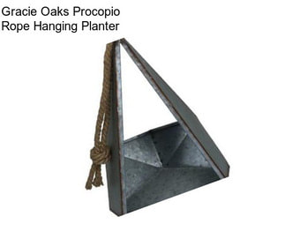 Gracie Oaks Procopio Rope Hanging Planter