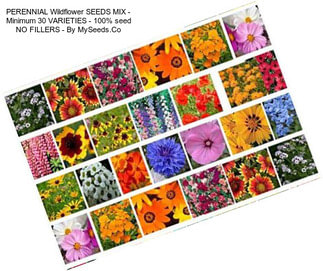 PERENNIAL Wildflower SEEDS MIX - Minimum 30 VARIETIES - 100% seed NO FILLERS - By MySeeds.Co