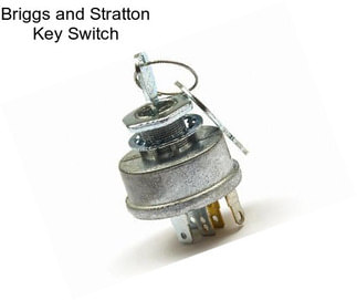 Briggs and Stratton Key Switch