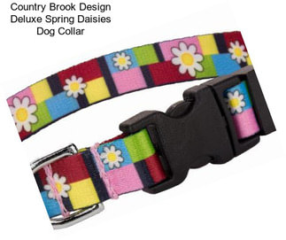 Country Brook Design Deluxe Spring Daisies Dog Collar