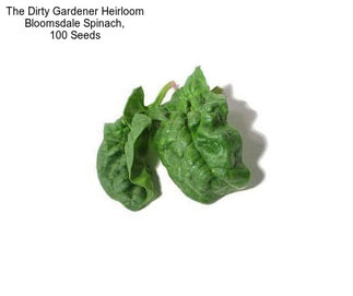 The Dirty Gardener Heirloom Bloomsdale Spinach, 100 Seeds