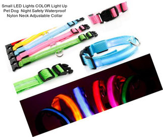 Small LED Lights COLOR Light Up Pet Dog  Night Safety Waterproof Nylon Neck Adjustable Collar