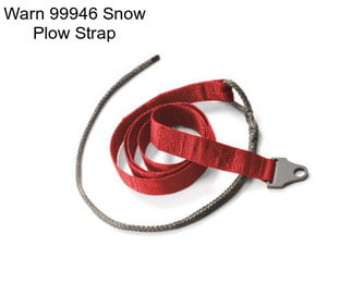 Warn 99946 Snow Plow Strap