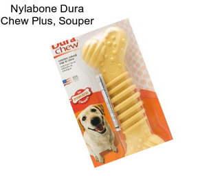 Nylabone Dura Chew Plus, Souper