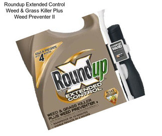 Roundup Extended Control Weed & Grass Killer Plus Weed Preventer II