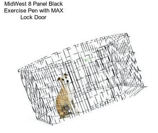 MidWest 8 Panel Black Exercise Pen with MAX Lock Door