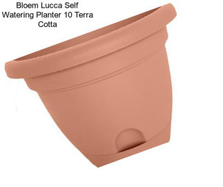 Bloem Lucca Self Watering Planter 10\