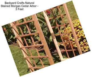 Backyard Crafts Natural Stained Morgan Cedar Arbor - 3 Feet
