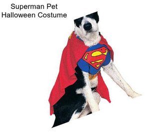 Superman Pet Halloween Costume