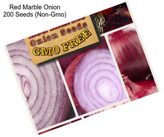 Red Marble Onion 200 Seeds (Non-Gmo)