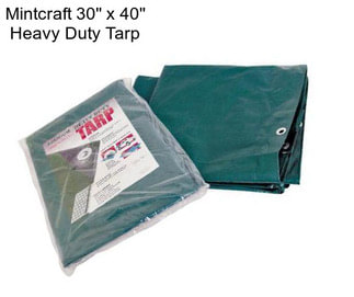 Mintcraft 30\'\' x 40\'\' Heavy Duty Tarp