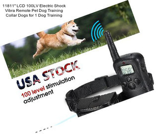 11811\'\' LCD 100LV Electric Shock Vibra Remote Pet Dog Training Collar Dogs for 1 Dog Training