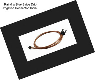 Raindrip Blue Stripe Drip Irrigation Connector 1/2 in.