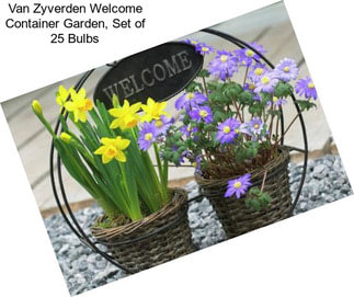 Van Zyverden Welcome Container Garden, Set of 25 Bulbs