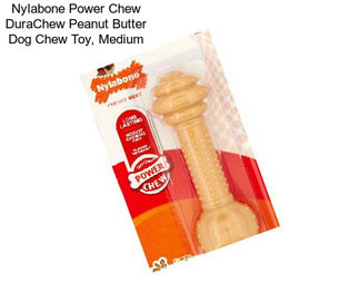 Nylabone Power Chew DuraChew Peanut Butter Dog Chew Toy, Medium