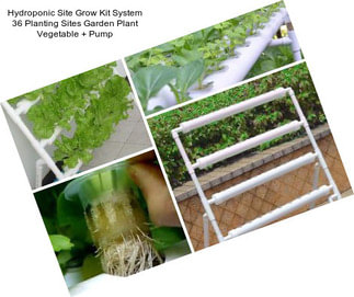 Hydroponic Site Grow Kit System 36 Planting Sites Garden Plant Vegetable + Pump