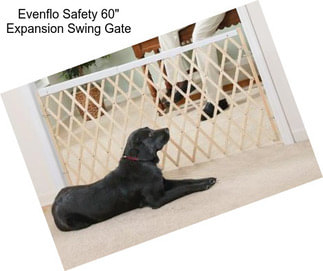 Evenflo Safety 60\'\' Expansion Swing Gate