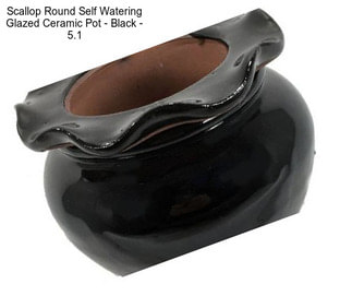 Scallop Round Self Watering Glazed Ceramic Pot - Black - 5.1\