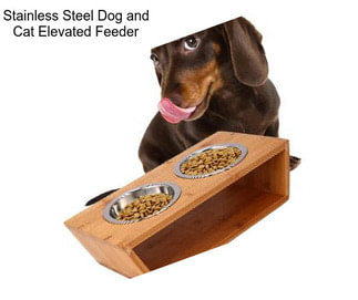 Stainless Steel Dog and Cat Elevated Feeder