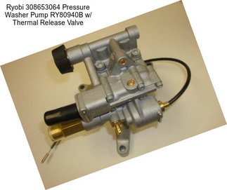 Ryobi 308653064 Pressure Washer Pump RY80940B w/ Thermal Release Valve