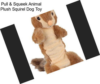 Pull & Squeek Animal Plush Squirel Dog Toy