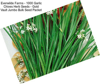 Everwilde Farms - 1000 Garlic Chives Herb Seeds - Gold Vault Jumbo Bulk Seed Packet