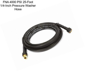 FNA 4000 PSI 25-Foot 1/4-Inch Pressure Washer Hose