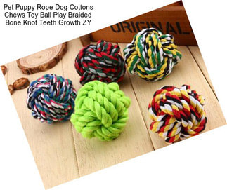 Pet Puppy Rope Dog Cottons Chews Toy Ball Play Braided Bone Knot Teeth Growth ZY