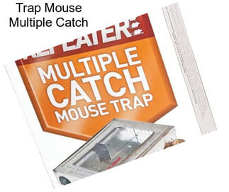 Trap Mouse Multiple Catch