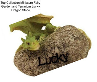 Top Collection Miniature Fairy Garden and Terrarium Lucky Dragon Stone