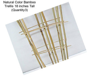 Natural Color Bamboo Trellis 18 inches Tall (Quantity3)