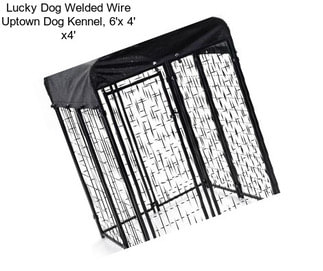 Lucky Dog Welded Wire Uptown Dog Kennel, 6\'x 4\' x4\'