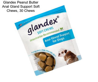 Glandex Peanut Butter Anal Gland Support Soft Chews, 30 Chews