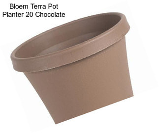 Bloem Terra Pot Planter 20\